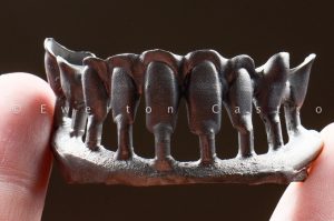 Ewerton de Castro impressão 3D