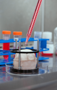 Rich Results estrutura bio impressa banhada células
